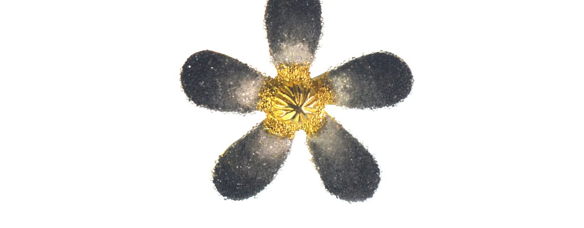 Επιχρυσωμένο 925 μενταγιόν λουλούδι